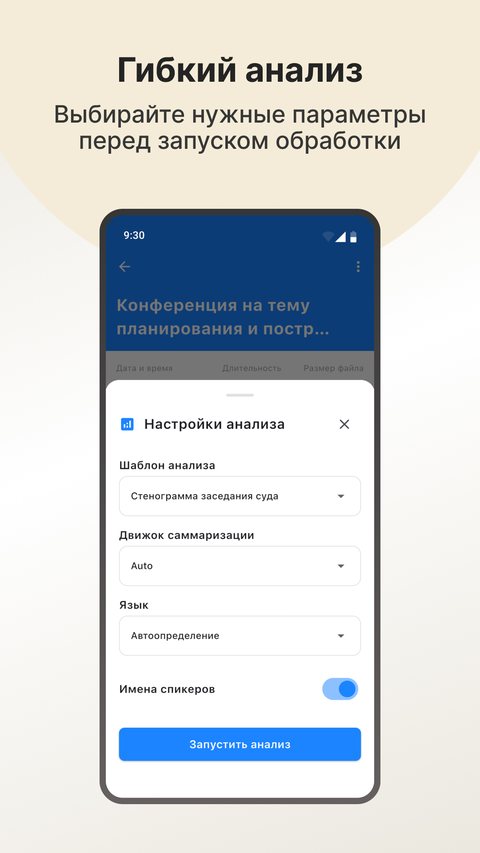 Гибкий анализ встречи по запросу пользователя